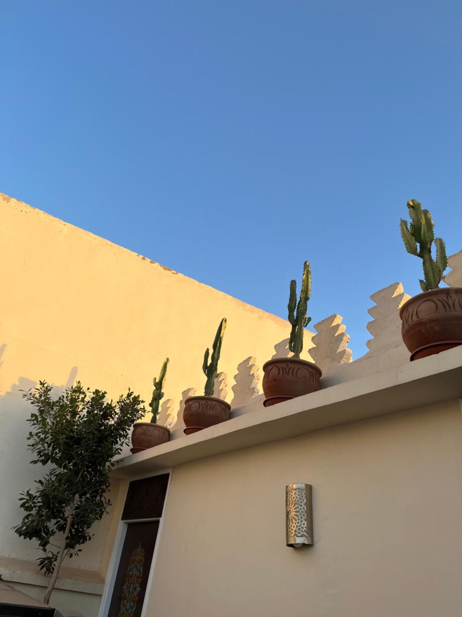 Riad Julilu Privatise Marrakesh Exteriör bild