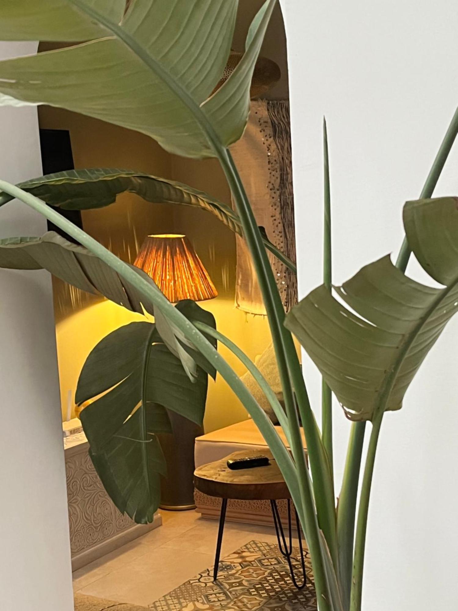 Riad Julilu Privatise Marrakesh Exteriör bild
